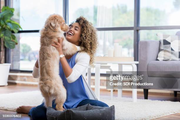 beautiful woman plays with adorable dog - home sweet home dog stock pictures, royalty-free photos & images