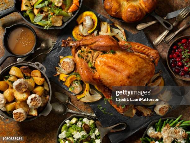 roast turkey dinner - peito de peru imagens e fotografias de stock