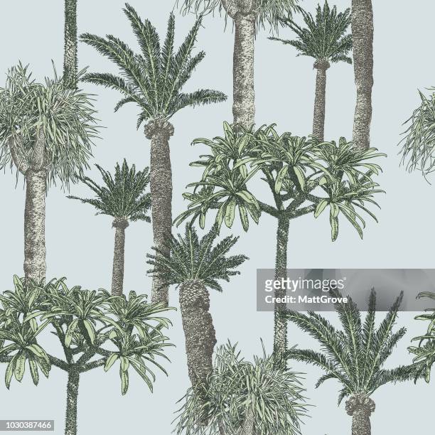 stockillustraties, clipart, cartoons en iconen met palmboom herhalen patroon - tropische boom
