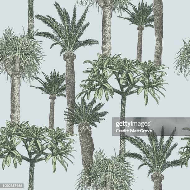 palmtree repeat pattern - tropical tree illustration stock illustrations