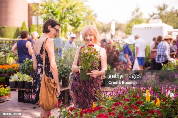 le donne più anziane e più giovani ammirano i fiori in vaso in vendita al winter park farmers market - winter park florida foto e immagini stock