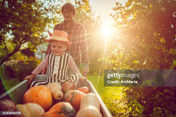 lindo niño y su padre con calabazas en otoño - squash vegetable fotografías e imágenes de stock