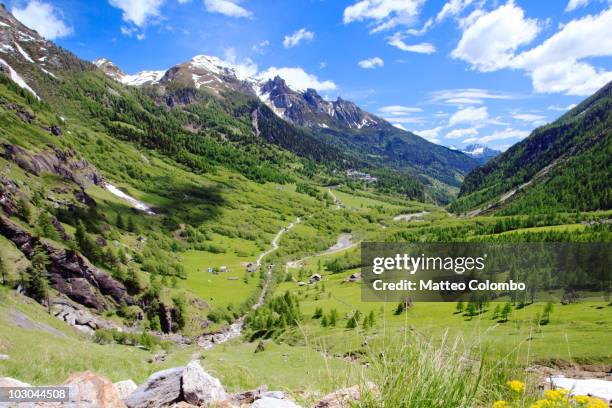 summer in the italian alps - piemonte - fotografias e filmes do acervo