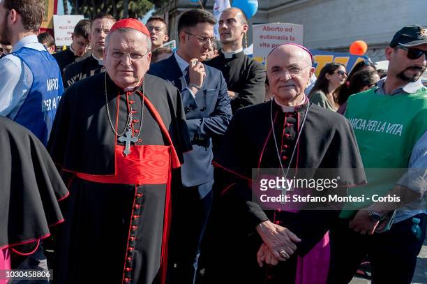 Cardinal Raymond Leo Burke, archbishop and the patron of the Sovereign Military Order of Malta , Carlo Maria Vigano, Archbishop during the 8th...