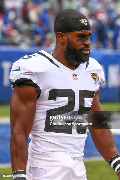 Jacksonville Jaguars defensive back D.J. Hayden prior to the National Football League game between the New York Giants and the Jacksonville Jaguars...