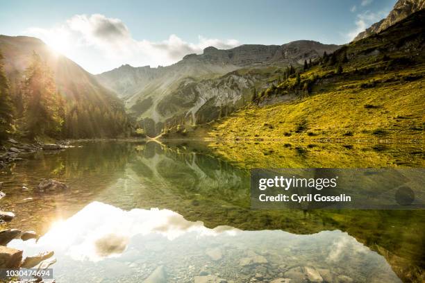soiernspitze and soiern lake - allgau stock pictures, royalty-free photos & images