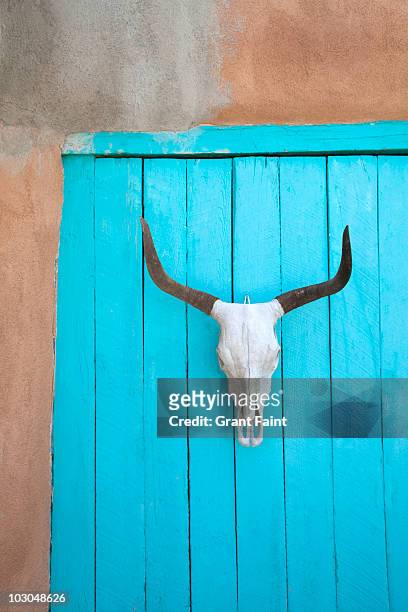 long horn cow skull on wall. - taos stock-fotos und bilder
