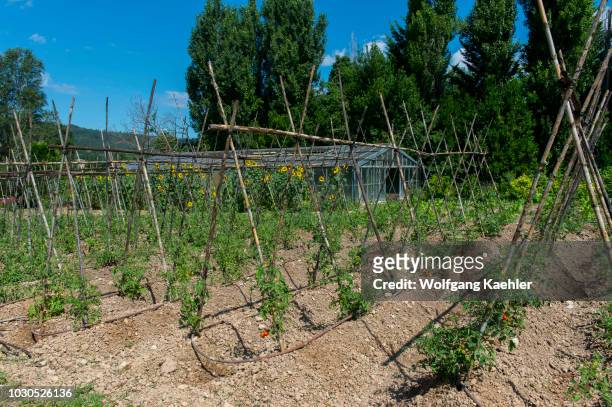 The vegetable garden at La Bastide de Moustiers, a house converted to a hotel, in Moustiers-Sainte-Marie, a medieval village in...