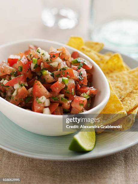 salsa fresca - salsa imagens e fotografias de stock