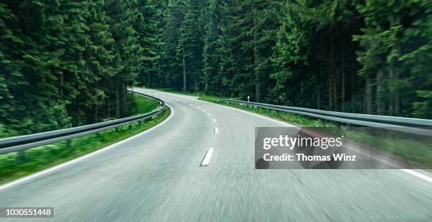 driving through a forest , motion - autoperspektive stock-fotos und bilder