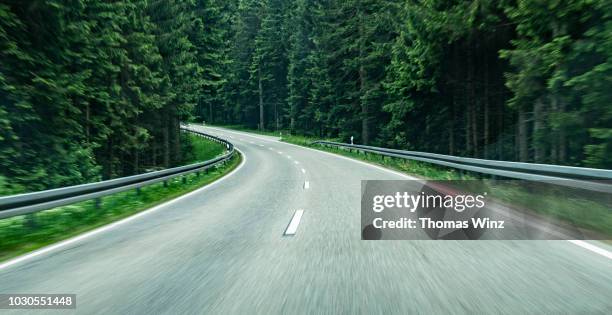 driving through a forest , motion - perspective road stockfoto's en -beelden