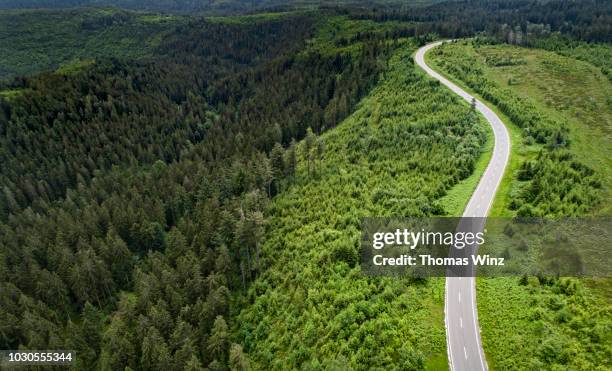 winding road from above - perspective road stockfoto's en -beelden