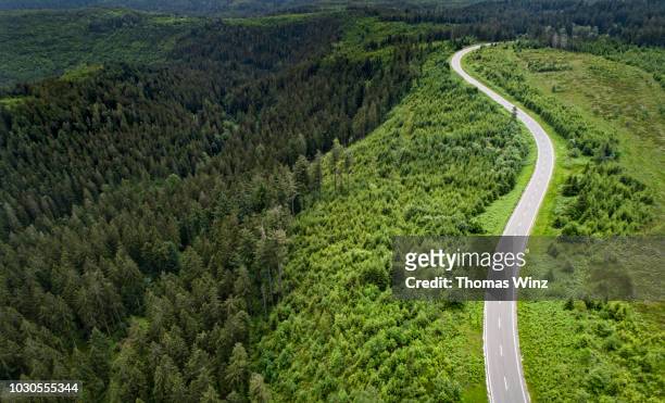 winding road from above - baden wurttemberg - fotografias e filmes do acervo