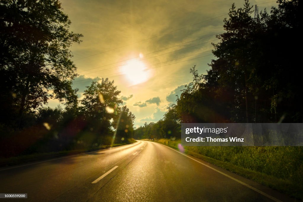 Country road in springtime bright sun