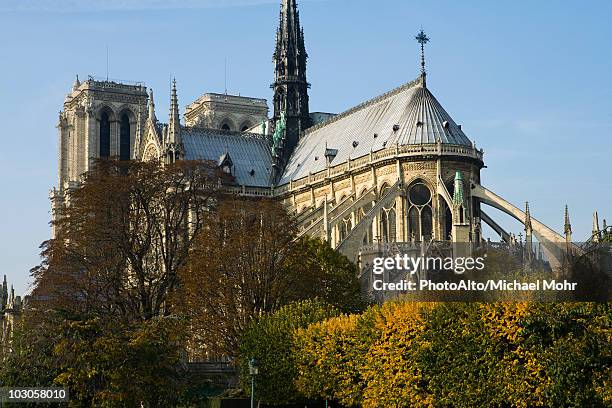 france, paris, notre dame cathedral - flying buttress foto e immagini stock
