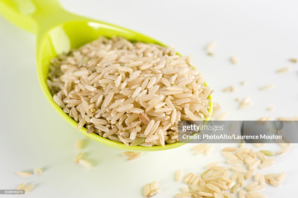 Scoop of brown rice