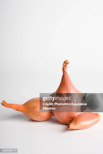 shallots - sjalot stockfoto's en -beelden