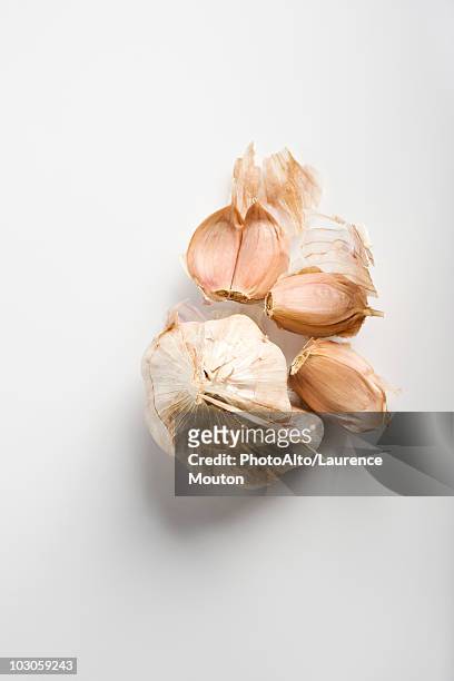 garlic - garlic clove stock-fotos und bilder