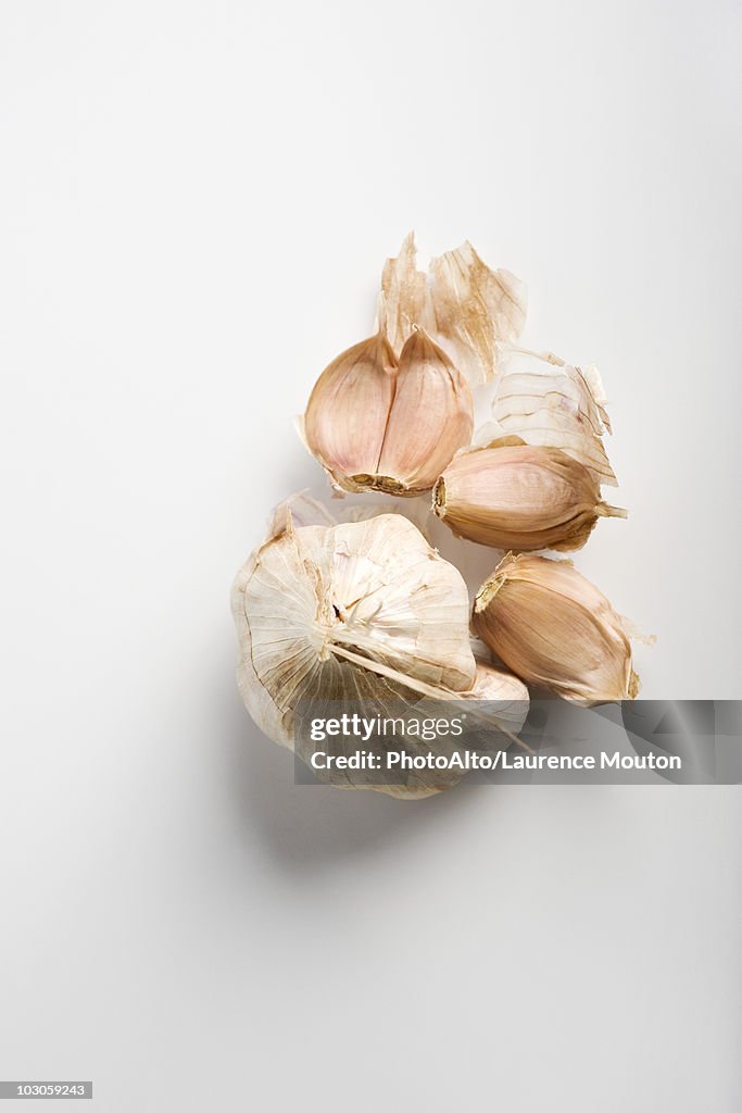 Garlic