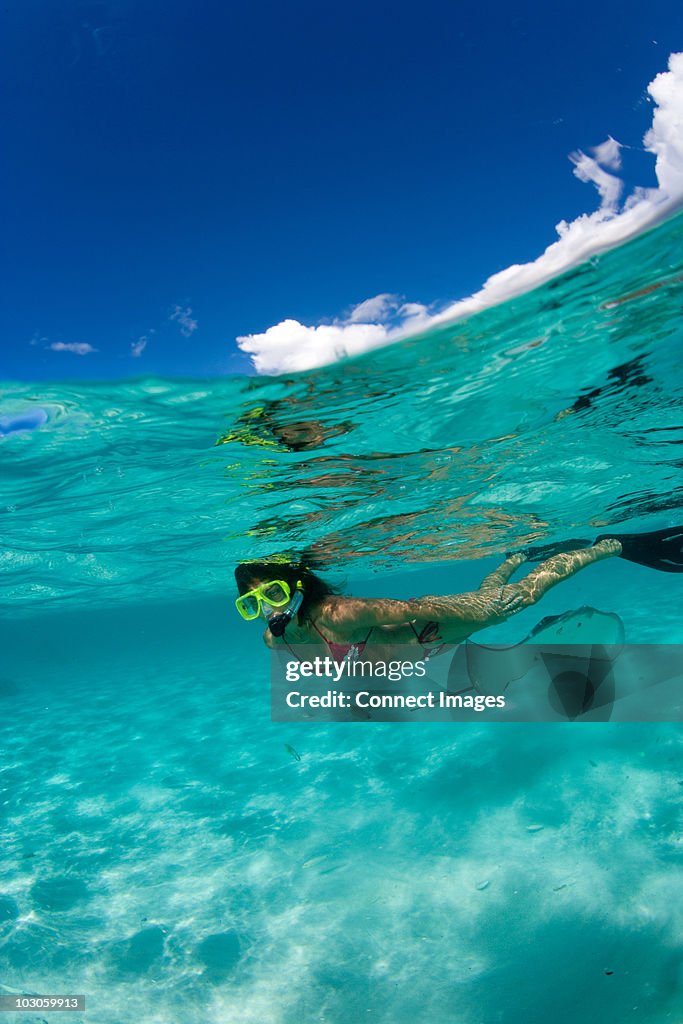Snorkeler in shallow water.