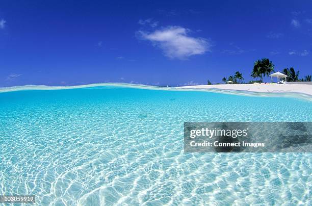 Half Shallow Half And Half Underwater Photos and Premium High Res Pictures - Getty ...
