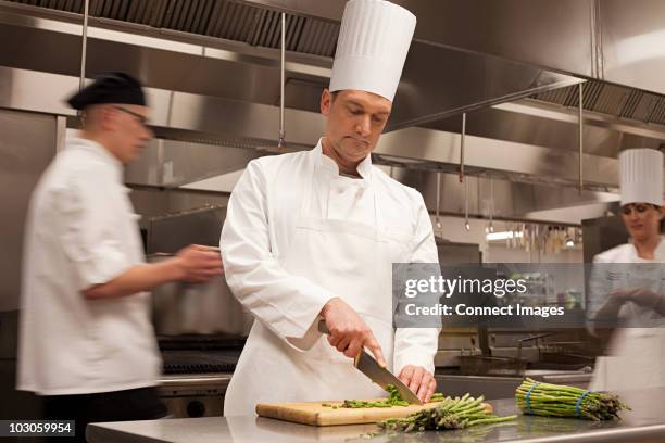 Chef In Action 3,727 Chef In Action Stock Photos, High-Res Pictures, and Images ...
