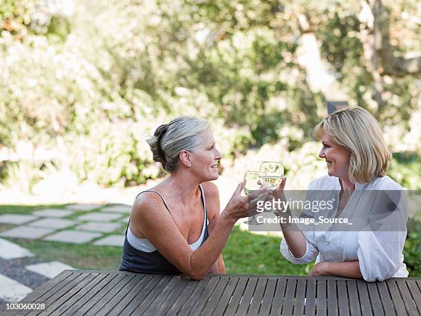 friends toasting with wine outdoors - wijn tuin stockfoto's en -beelden