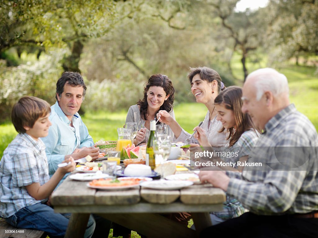 Family having meal in countryside