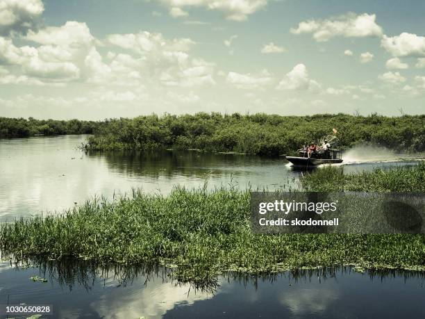 alligator airboat ride in florida - everglades national park stock pictures, royalty-free photos & images