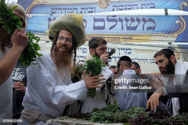 Hasidic Ritual A Hasidic Photos and Premium High Res Pictures - Getty Images