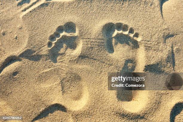 human footprint on the sand - footprint stock pictures, royalty-free photos & images