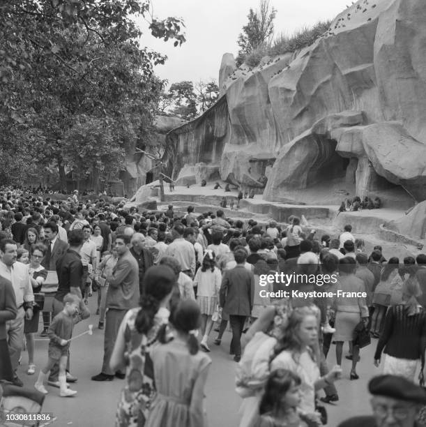 Il y a foule devant la Montagne des Singes dans les allées du zoo de Vincennes en juillet 1969, en France.