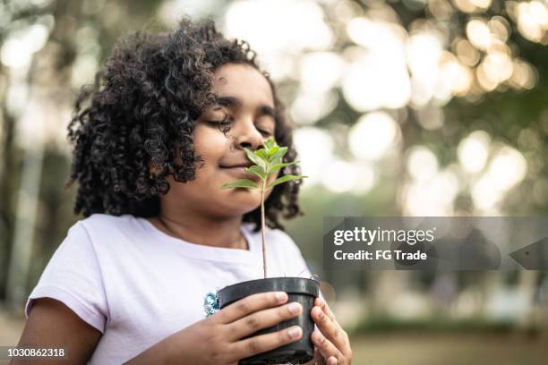 menina no jardim, cheiro de planta fresca - preservação ambiental - fotografias e filmes do acervo