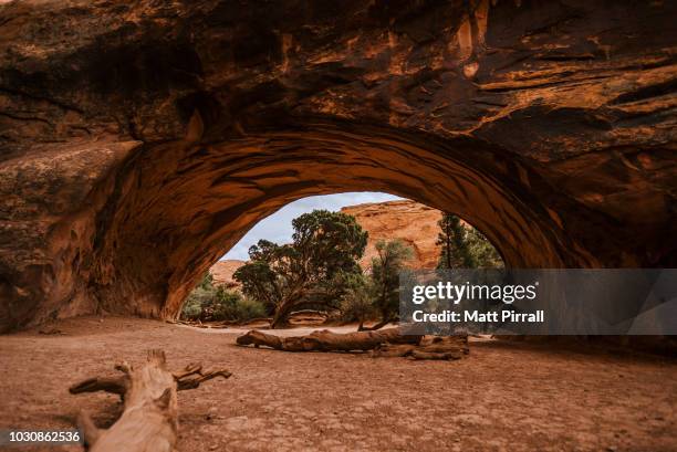 cave arch in utah with trees - utah arch stock pictures, royalty-free photos & images