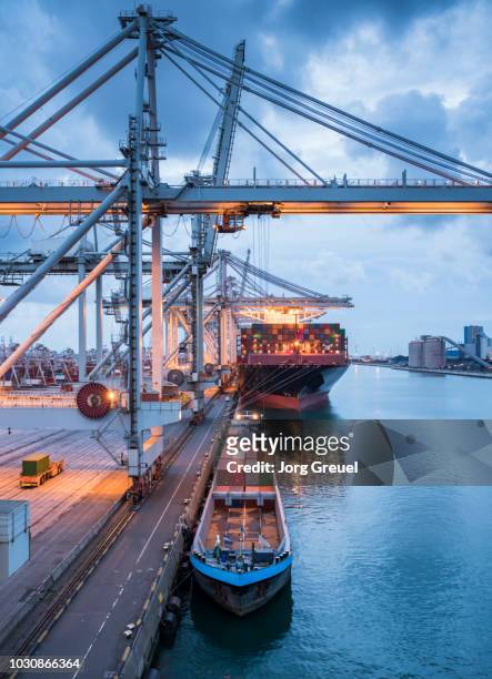 container port at dawn - dársena fotografías e imágenes de stock