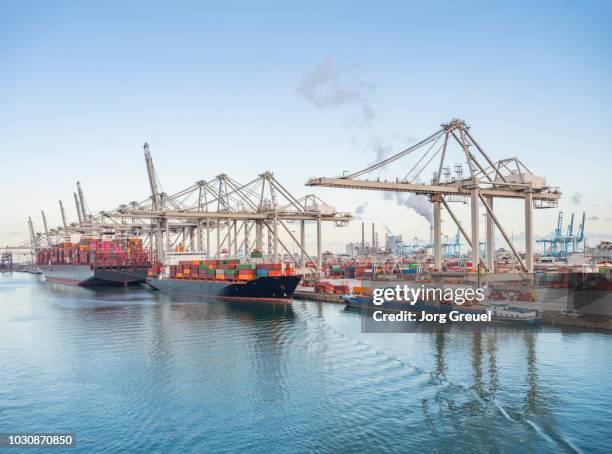 container port - rotterdam harbour stock pictures, royalty-free photos & images