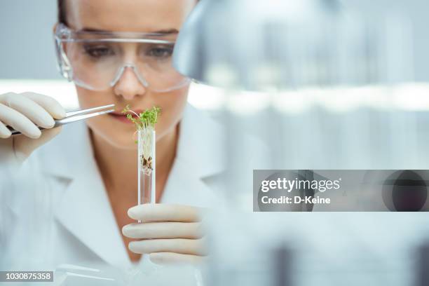 laboratorio - organic chemistry in laboratory fotografías e imágenes de stock