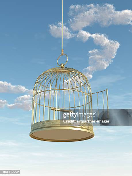 empty golden birdcage with open door - kooi stockfoto's en -beelden