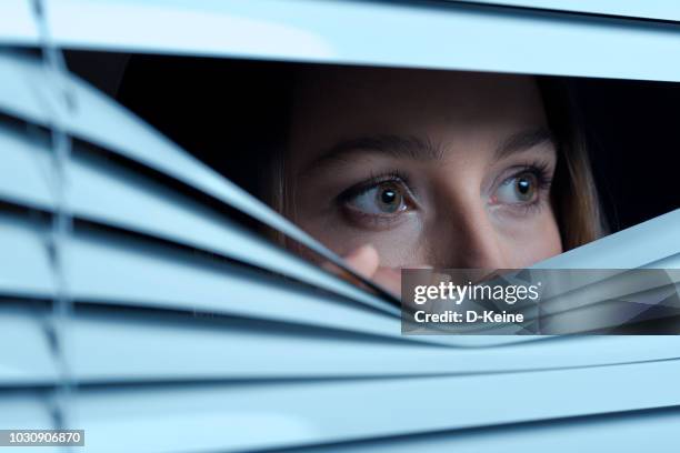 scared woman - blinds stock pictures, royalty-free photos & images