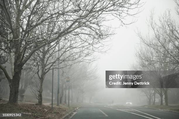 street in fog - australian winter stockfoto's en -beelden