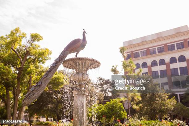 commemorative bronze peacock fountain in downtown winter park florida usa - downtown orlando stock pictures, royalty-free photos & images