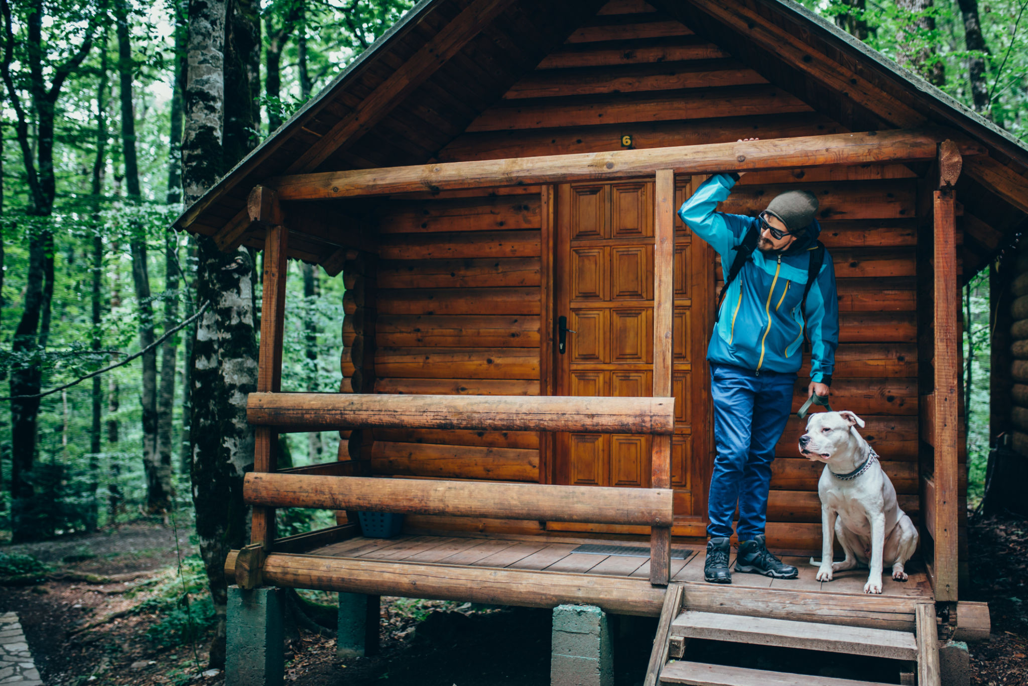 pet friendly cabin