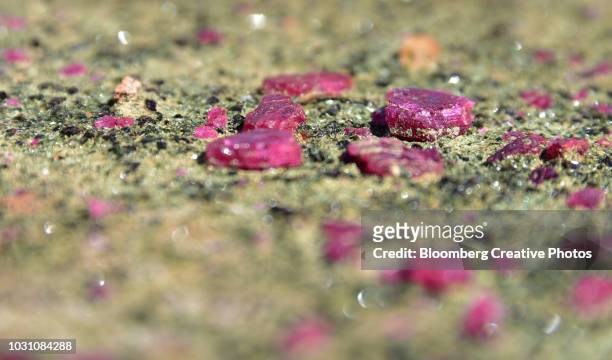 rubies lie exposed at the bottom of a mine pit - ruby stockfoto's en -beelden