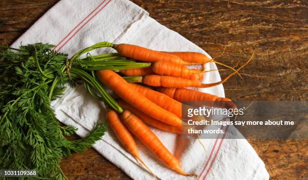 bunch of organic carrots on a dishcloth. still life - carrot stockfoto's en -beelden