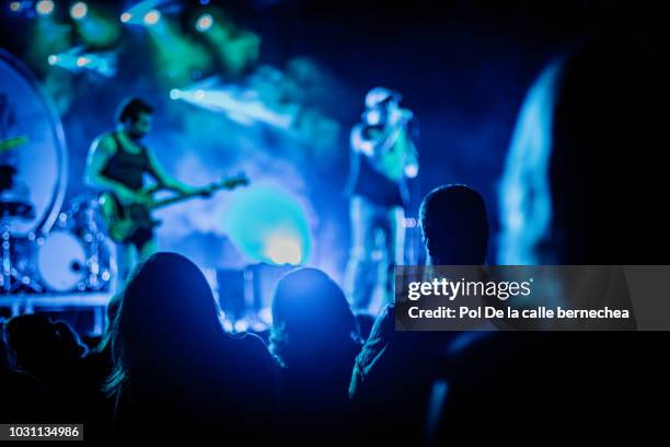 concert musician night light singer posted - audience de festival stock pictures, royalty-free photos & images