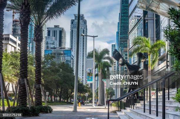 brickell luxury - brickell avenue stock pictures, royalty-free photos & images