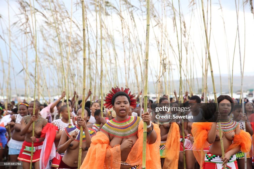 Zulu maidens gather for the annual reed dance in South Africa