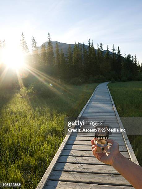 Compass Down Path 2,015 Canada Compass Stock Photos, High-Res Pictures, and Images ...