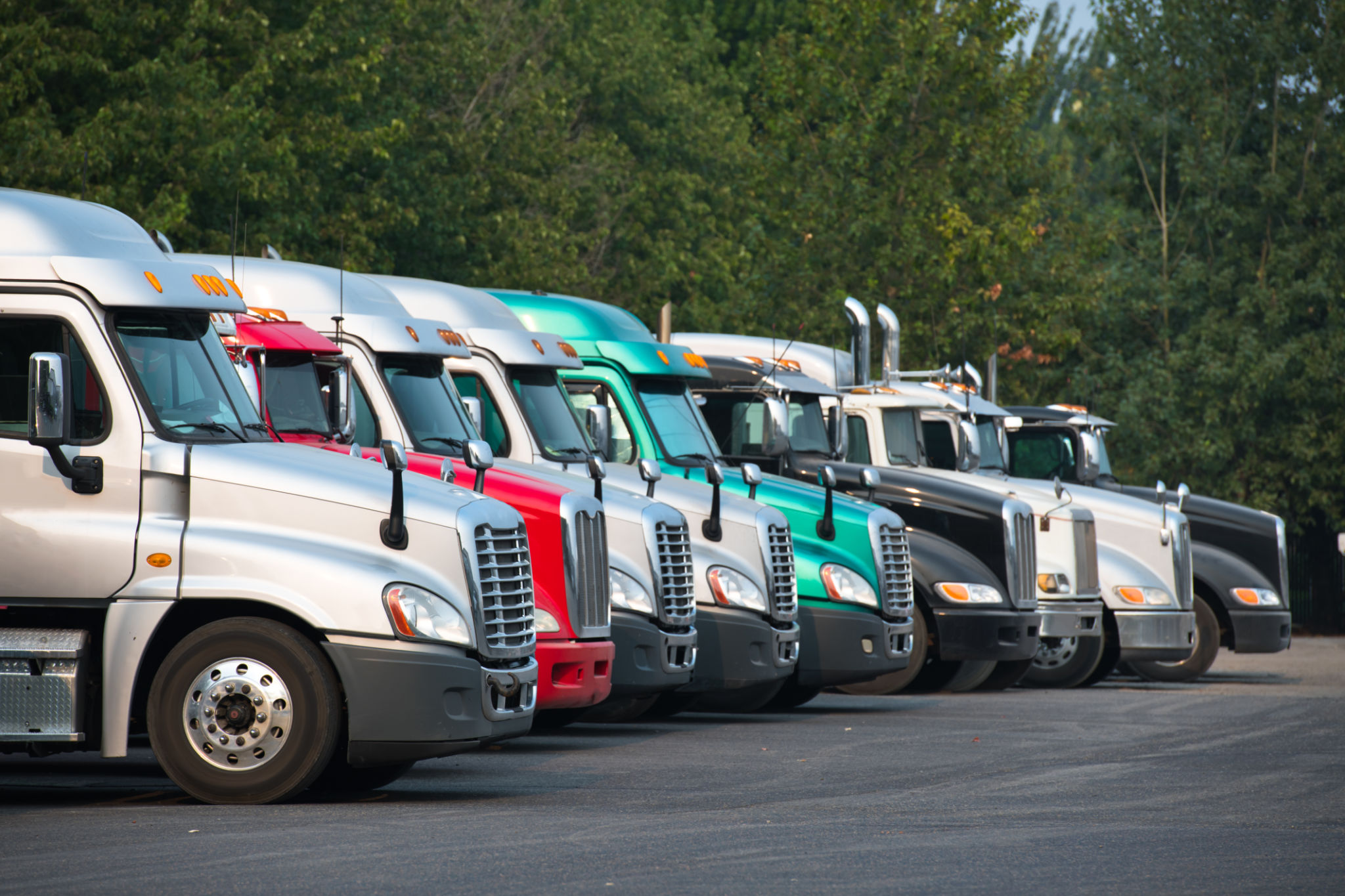 different trucks