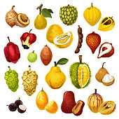 Exotic tropical fruits vector icons